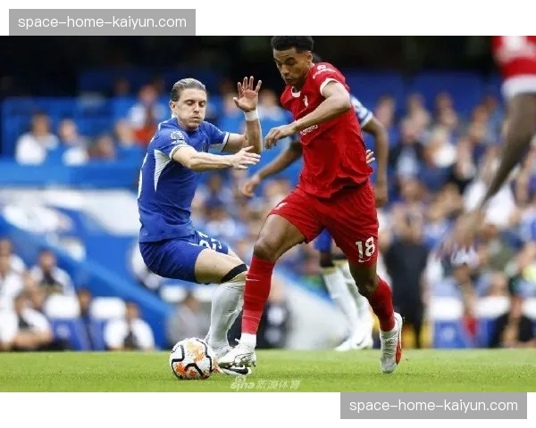 “战报：布莱顿5-0横扫纽卡斯尔，弗格森大四喜，创个人英超进球纪录”