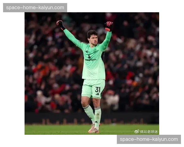 欧足联宣布下赛季起试行“门线技术与半自动越位”联动系统，将影响防线前提战术